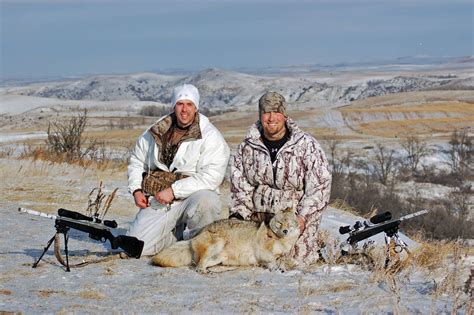 coyote hunting in utah